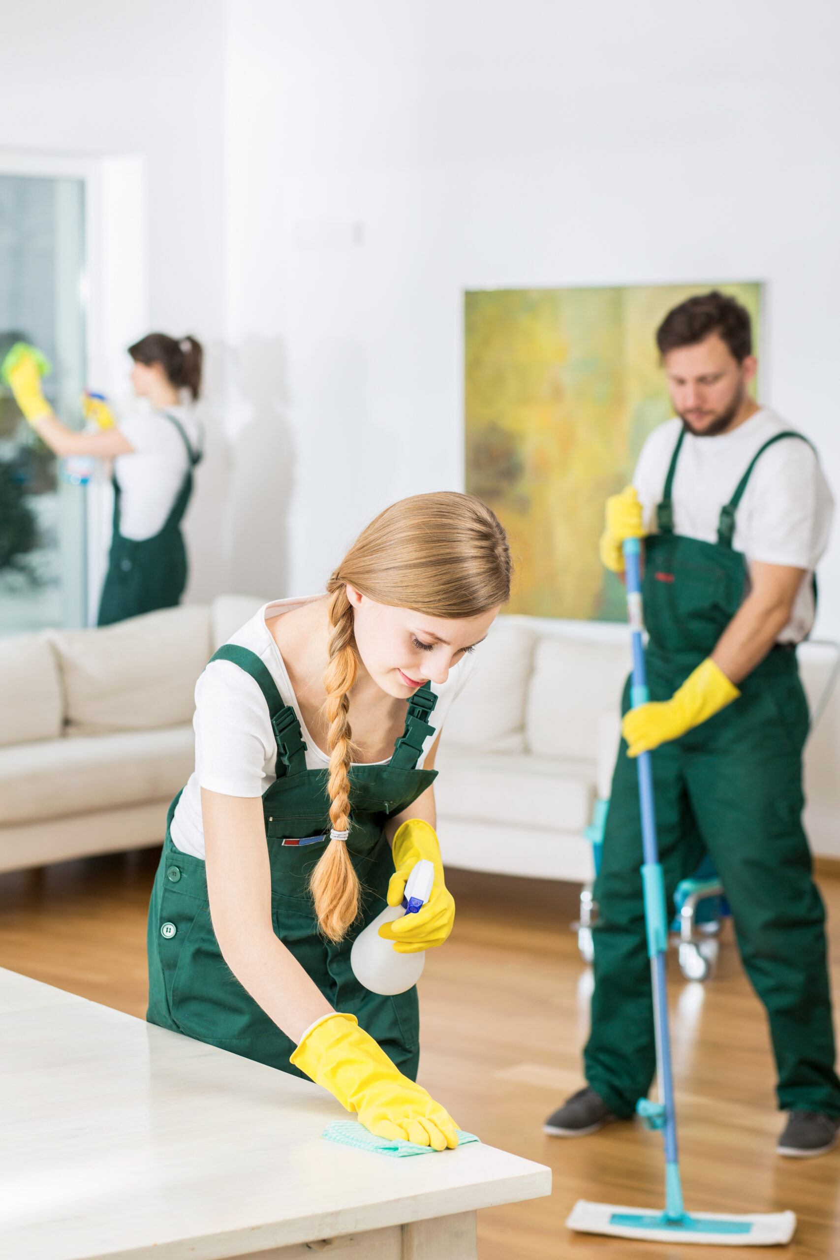 Young people in cleaning company working in spacious living room